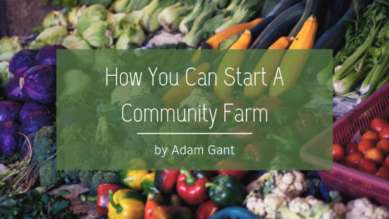 How You Can Start A Community Farm Adam Gant